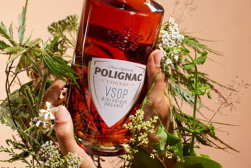 Un habillage eco reponsable - Prince Hubert de Polignac